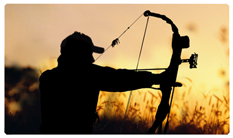 DNSEMP-C-309 Gone Hunting (Bow)